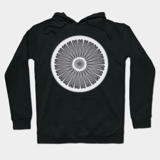 Diatom - Arachnodiscus (scientific) Hoodie